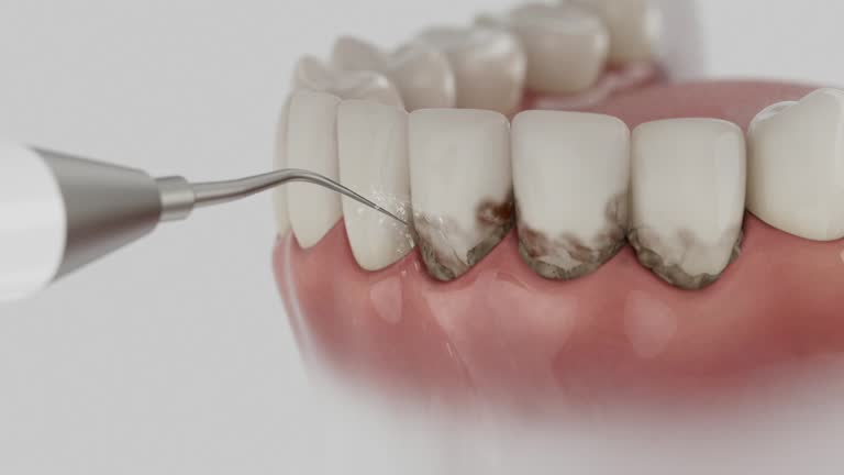 Reliable Dental contractor in La Crosse, WI by Dentist Open Now